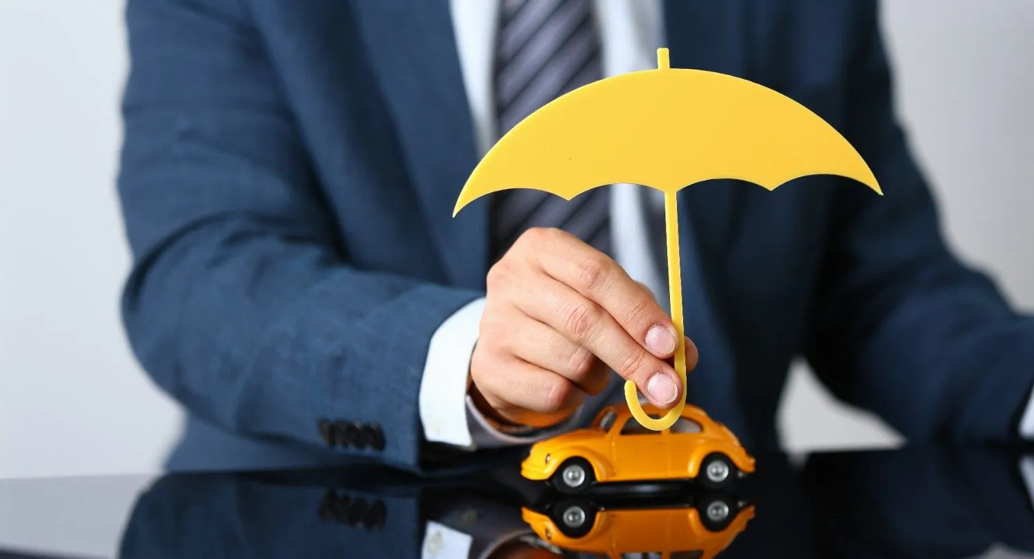 Driver comparing auto insurance paperwork